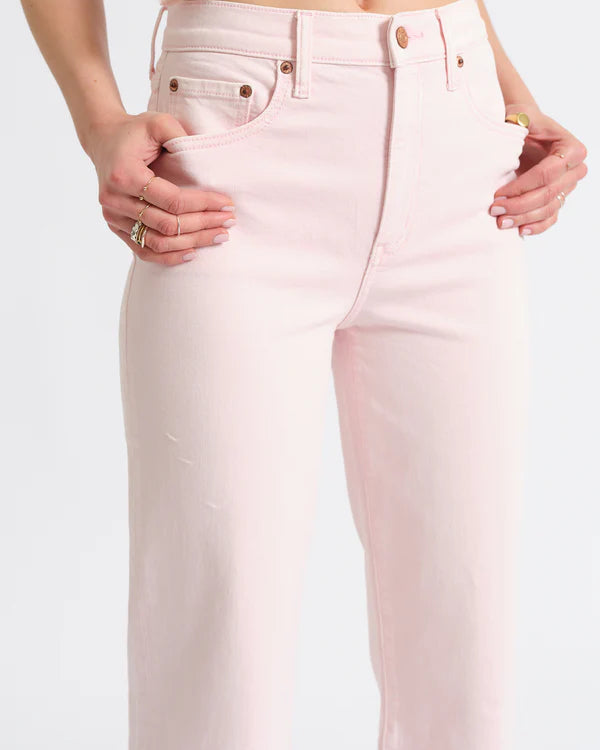 Pleaser High Rise Think Think Pink