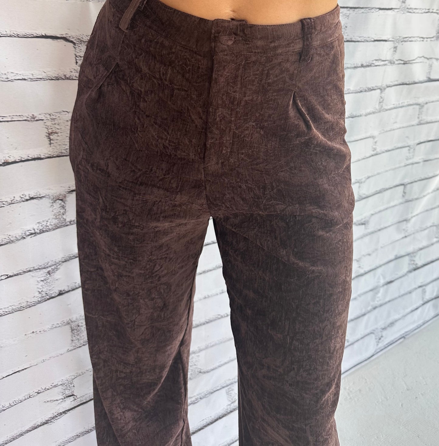 Brushed Velvet Trouser Pants