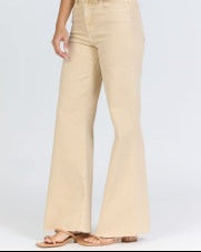 Fiona High Rise Mojave Desert